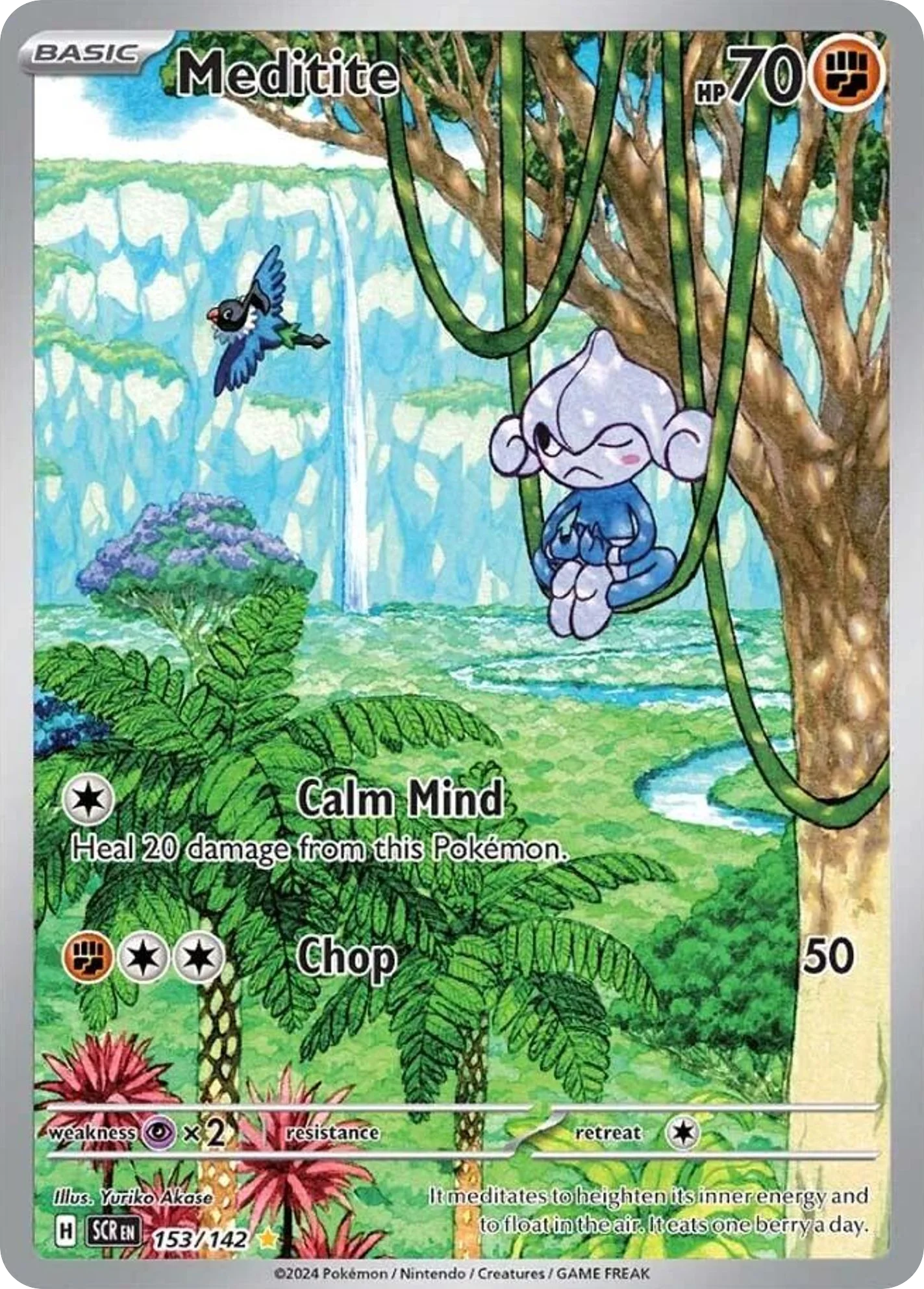 Meditite 153/142 Illustration rare
