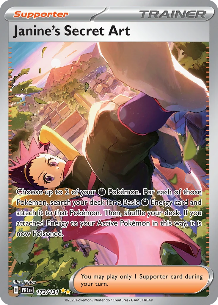 Janine's Secret Art 173/131 Special illustration rare