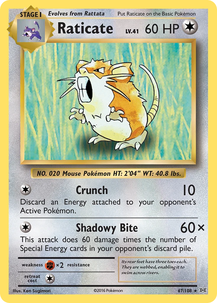 Raticate 67/108 Rare