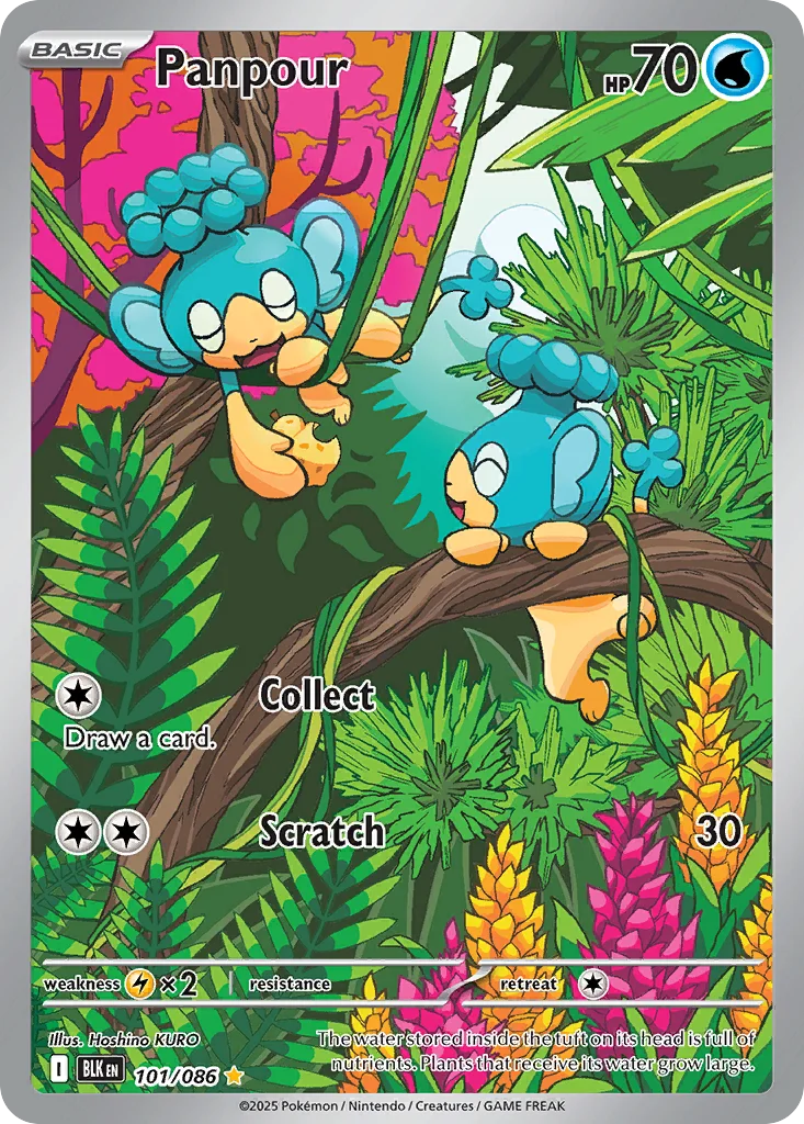 Panpour 101/86 Illustration rare