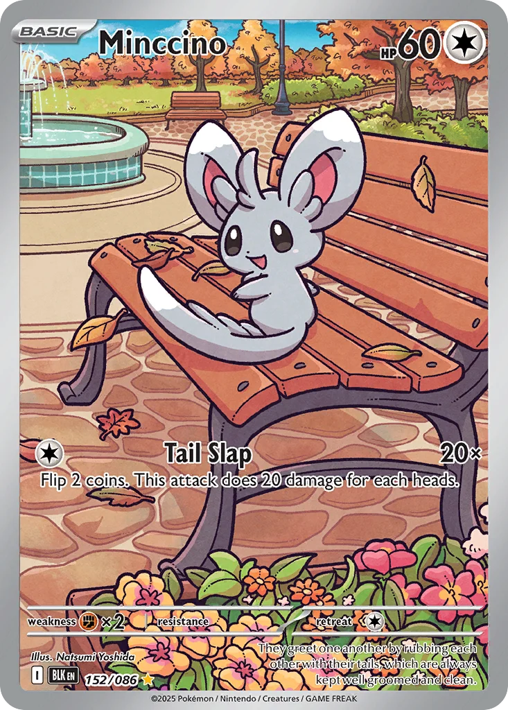 Minccino 152/86 Illustration rare