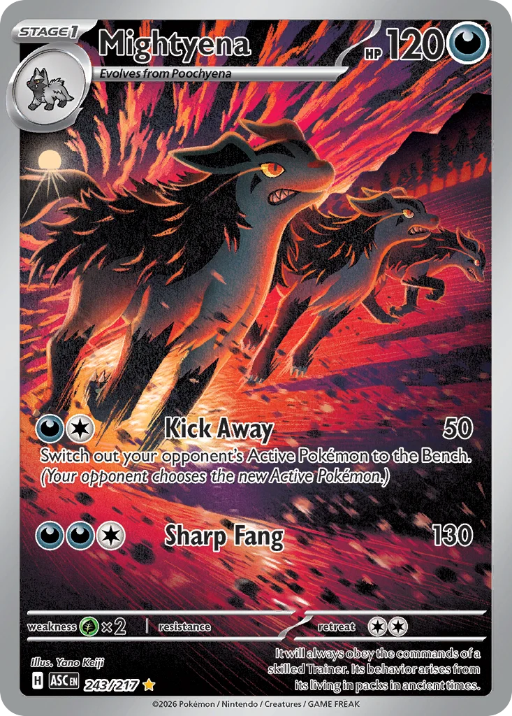 Mightyena 243/ Illustration rare